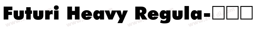 Futuri Heavy Regula字体转换